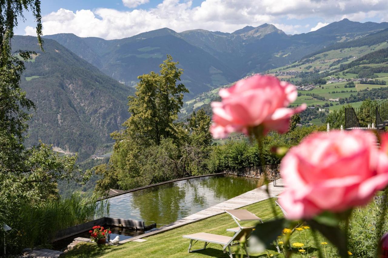 Ansitz Fonteklaus Otel Laion Dış mekan fotoğraf